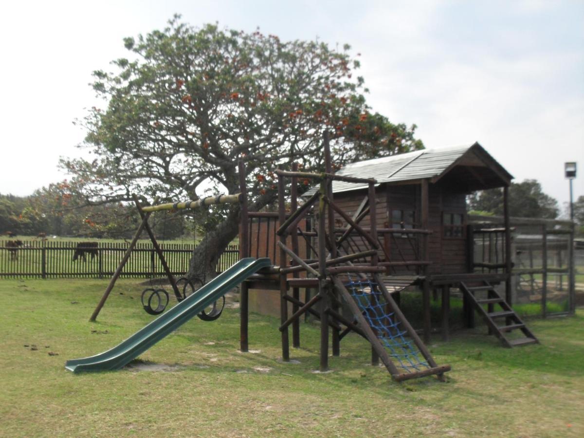 Villa Soloko Game Farm à Kareedouw Extérieur photo